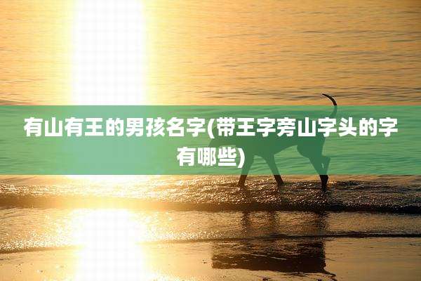 有山有王的男孩名字(带王字旁山字头的字有哪些)