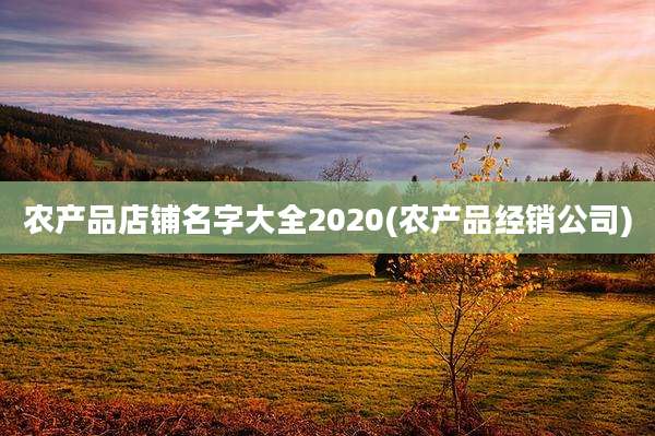 农产品店铺名字大全2020(农产品经销公司)