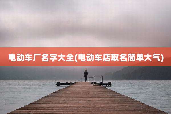 电动车厂名字大全(电动车店取名简单大气)