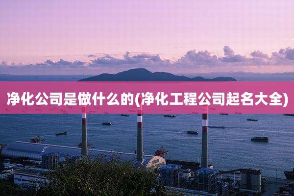 净化公司是做什么的(净化工程公司起名大全)