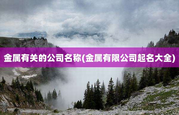 金属有关的公司名称(金属有限公司起名大全)