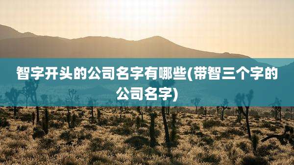 智字开头的公司名字有哪些(带智三个字的公司名字)