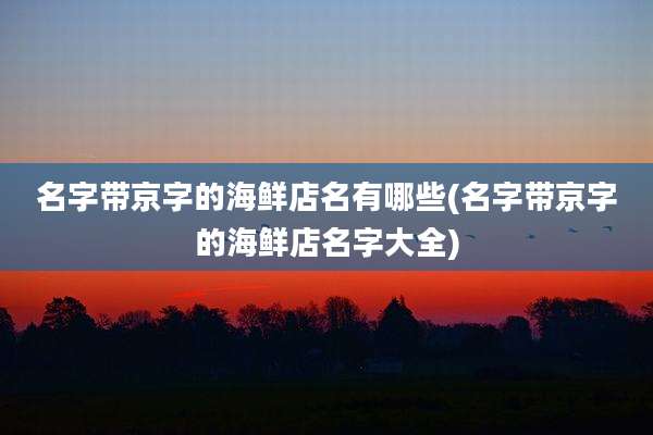 名字带京字的海鲜店名有哪些(名字带京字的海鲜店名字大全)