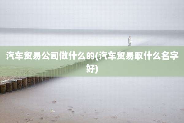 汽车贸易公司做什么的(汽车贸易取什么名字好)