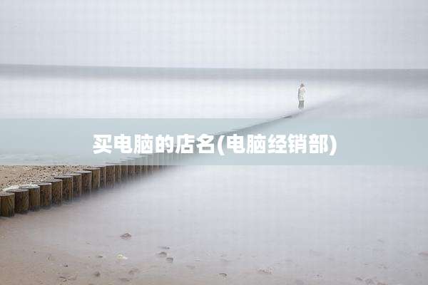 买电脑的店名(电脑经销部)