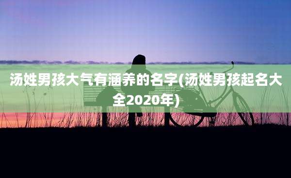 汤姓男孩大气有涵养的名字(汤姓男孩起名大全2020年)