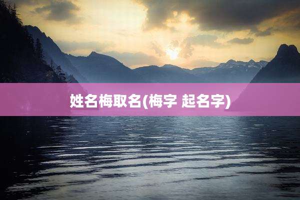 姓名梅取名(梅字 起名字)