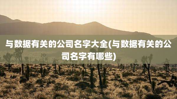 与数据有关的公司名字大全(与数据有关的公司名字有哪些)