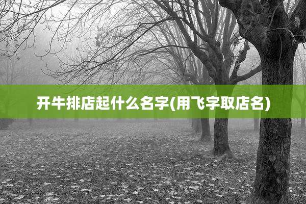 开牛排店起什么名字(用飞字取店名)