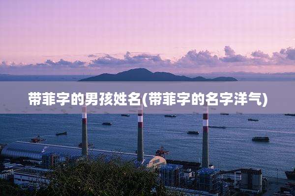 带菲字的男孩姓名(带菲字的名字洋气)