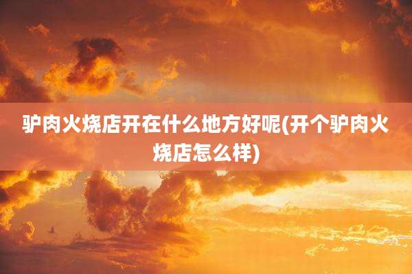 驴肉火烧店开在什么地方好呢(开个驴肉火烧店怎么样)