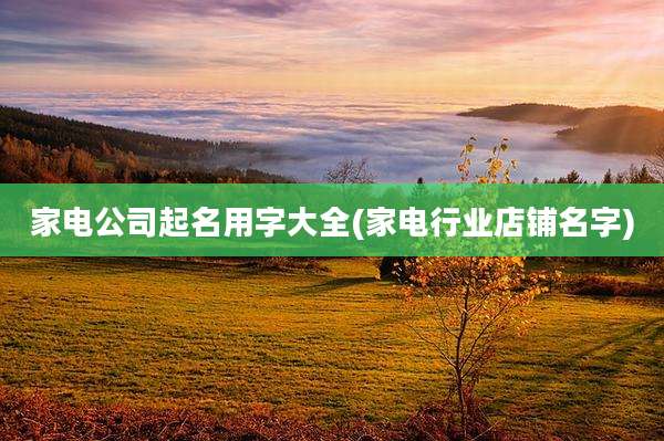 家电公司起名用字大全(家电行业店铺名字)