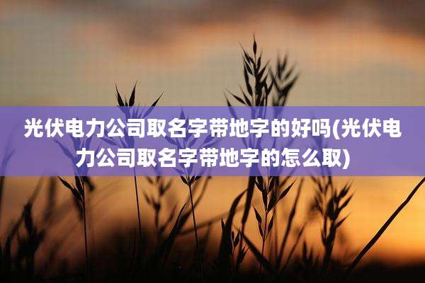 光伏电力公司取名字带地字的好吗(光伏电力公司取名字带地字的怎么取)