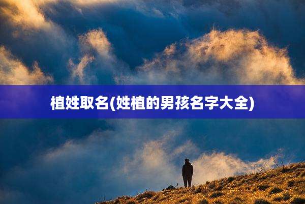 植姓取名(姓植的男孩名字大全)