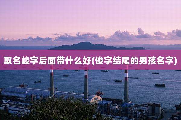 取名峻字后面带什么好(俊字结尾的男孩名字)