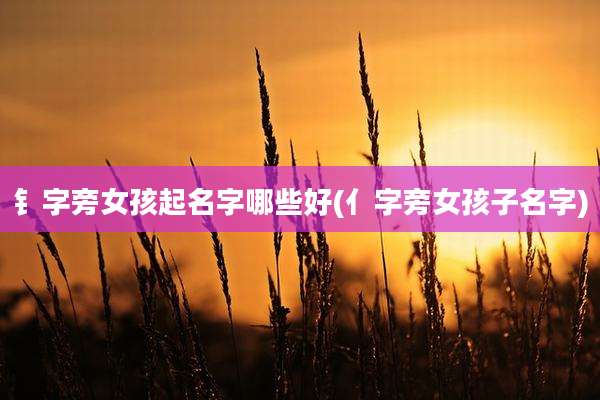 钅字旁女孩起名字哪些好(亻字旁女孩子名字)