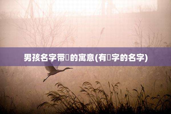 男孩名字带珺的寓意(有珺字的名字)
