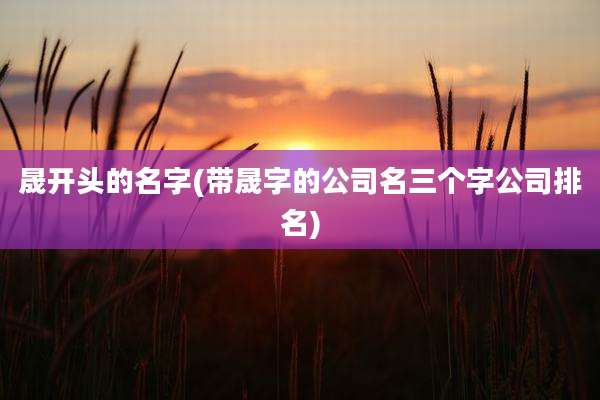 晟开头的名字(带晟字的公司名三个字公司排名)