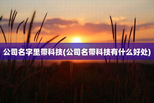 公司名字里带科技(公司名带科技有什么好处)