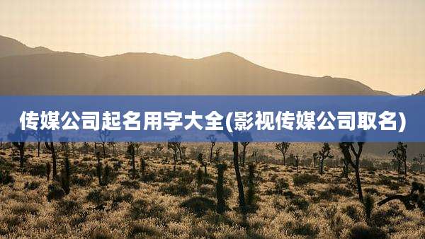 传媒公司起名用字大全(影视传媒公司取名)