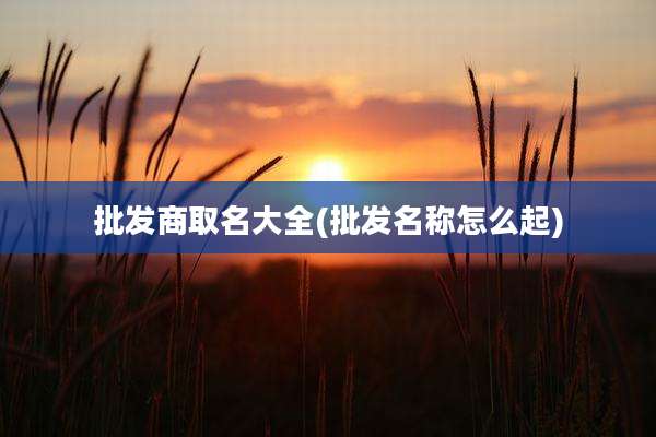 批发商取名大全(批发名称怎么起)