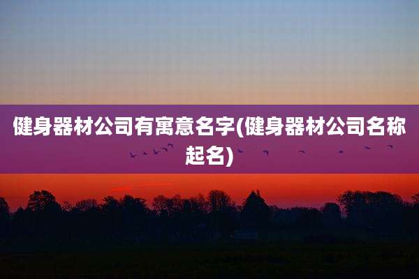 健身器材公司有寓意名字(健身器材公司名称起名)