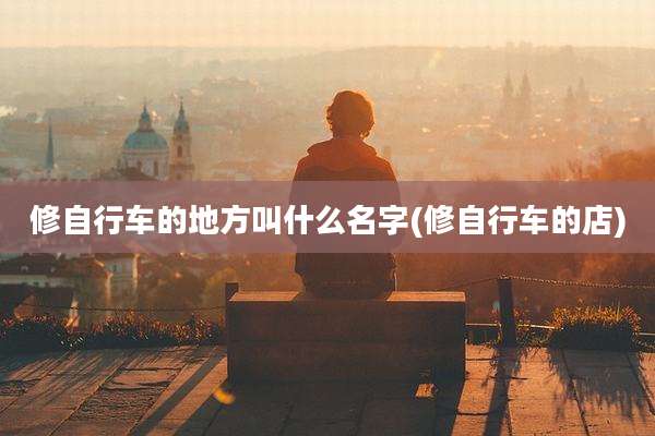 修自行车的地方叫什么名字(修自行车的店)