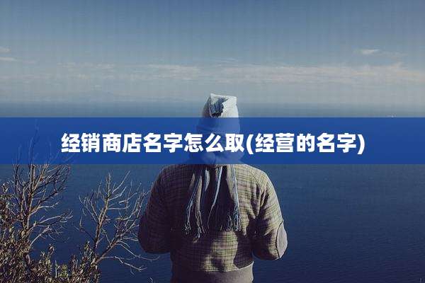 经销商店名字怎么取(经营的名字)