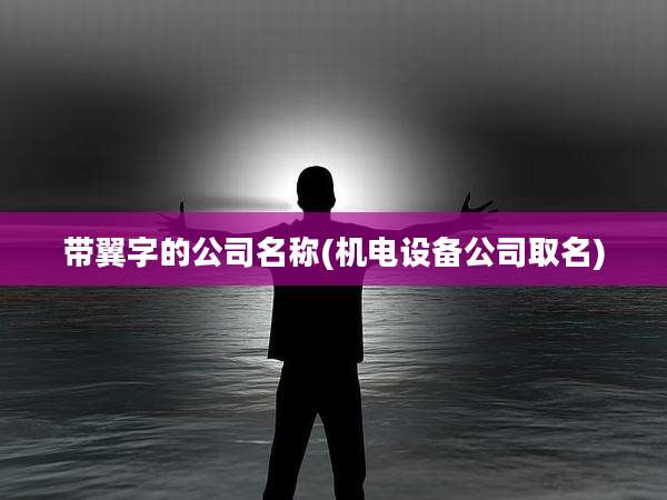 带翼字的公司名称(机电设备公司取名)