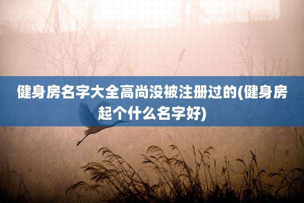 健身房名字大全高尚没被注册过的(健身房起个什么名字好)