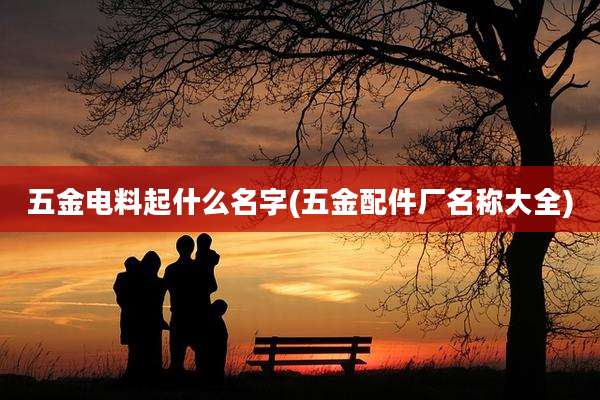 五金电料起什么名字(五金配件厂名称大全)