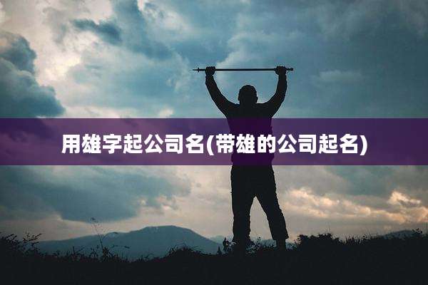 用雄字起公司名(带雄的公司起名)