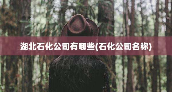 湖北石化公司有哪些(石化公司名称)