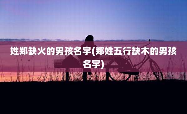 姓郑缺火的男孩名字(郑姓五行缺木的男孩名字)
