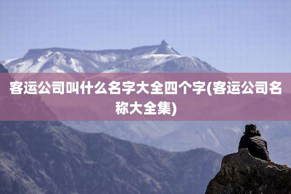客运公司叫什么名字大全四个字(客运公司名称大全集)