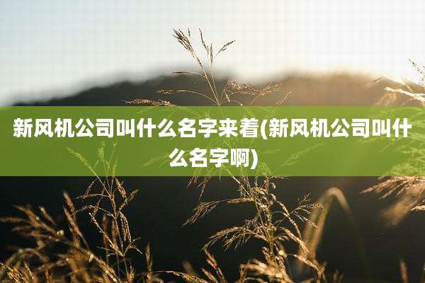 新风机公司叫什么名字来着(新风机公司叫什么名字啊)