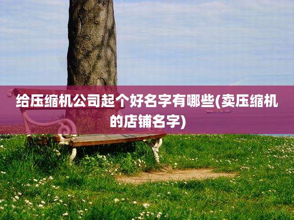 给压缩机公司起个好名字有哪些(卖压缩机的店铺名字)