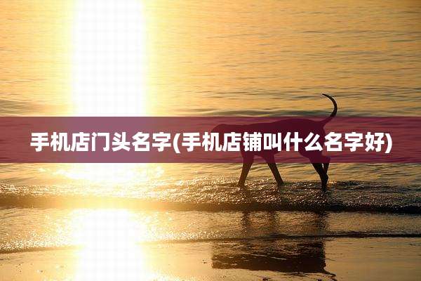 手机店门头名字(手机店铺叫什么名字好)