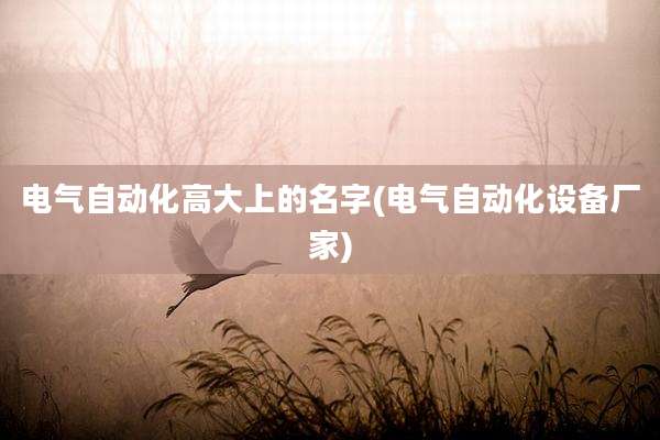 电气自动化高大上的名字(电气自动化设备厂家)