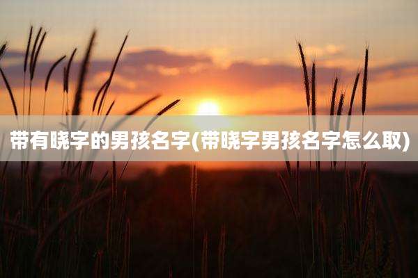 带有晓字的男孩名字(带晓字男孩名字怎么取)
