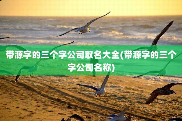 带源字的三个字公司取名大全(带源字的三个字公司名称)