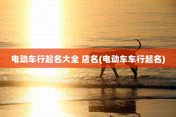 电动车行起名大全 店名(电动车车行起名)