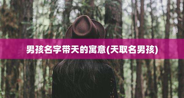 男孩名字带天的寓意(天取名男孩)