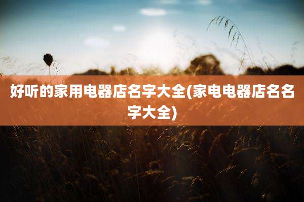 好听的家用电器店名字大全(家电电器店名名字大全)