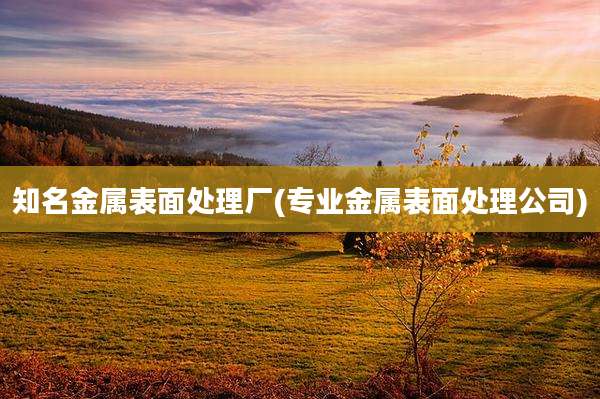 知名金属表面处理厂(专业金属表面处理公司)