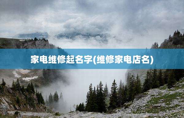 家电维修起名字(维修家电店名)