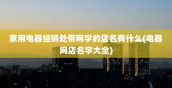 家用电器经销处带网字的店名有什么(电器网店名字大全)