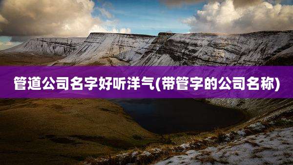 管道公司名字好听洋气(带管字的公司名称)