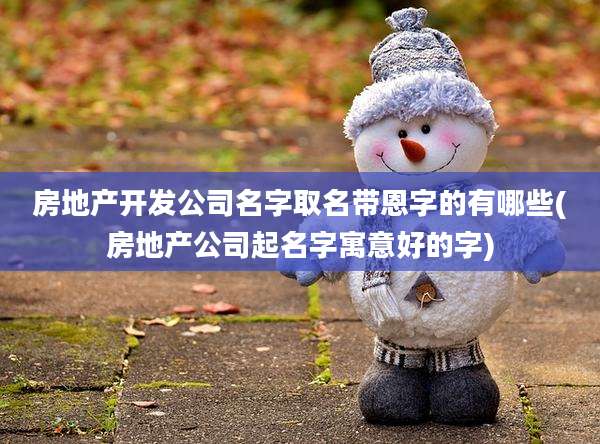 房地产开发公司名字取名带恩字的有哪些(房地产公司起名字寓意好的字)