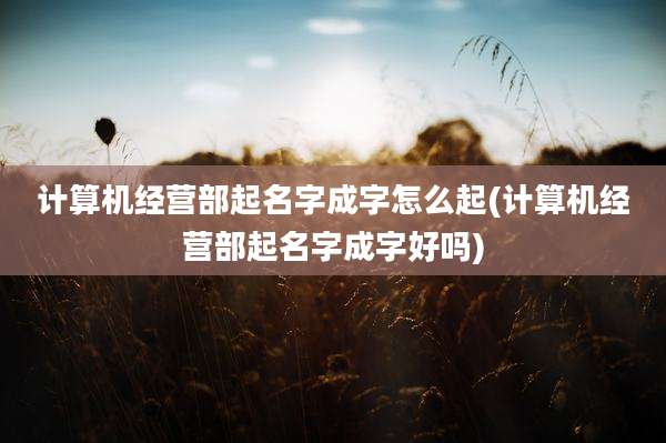 计算机经营部起名字成字怎么起(计算机经营部起名字成字好吗)